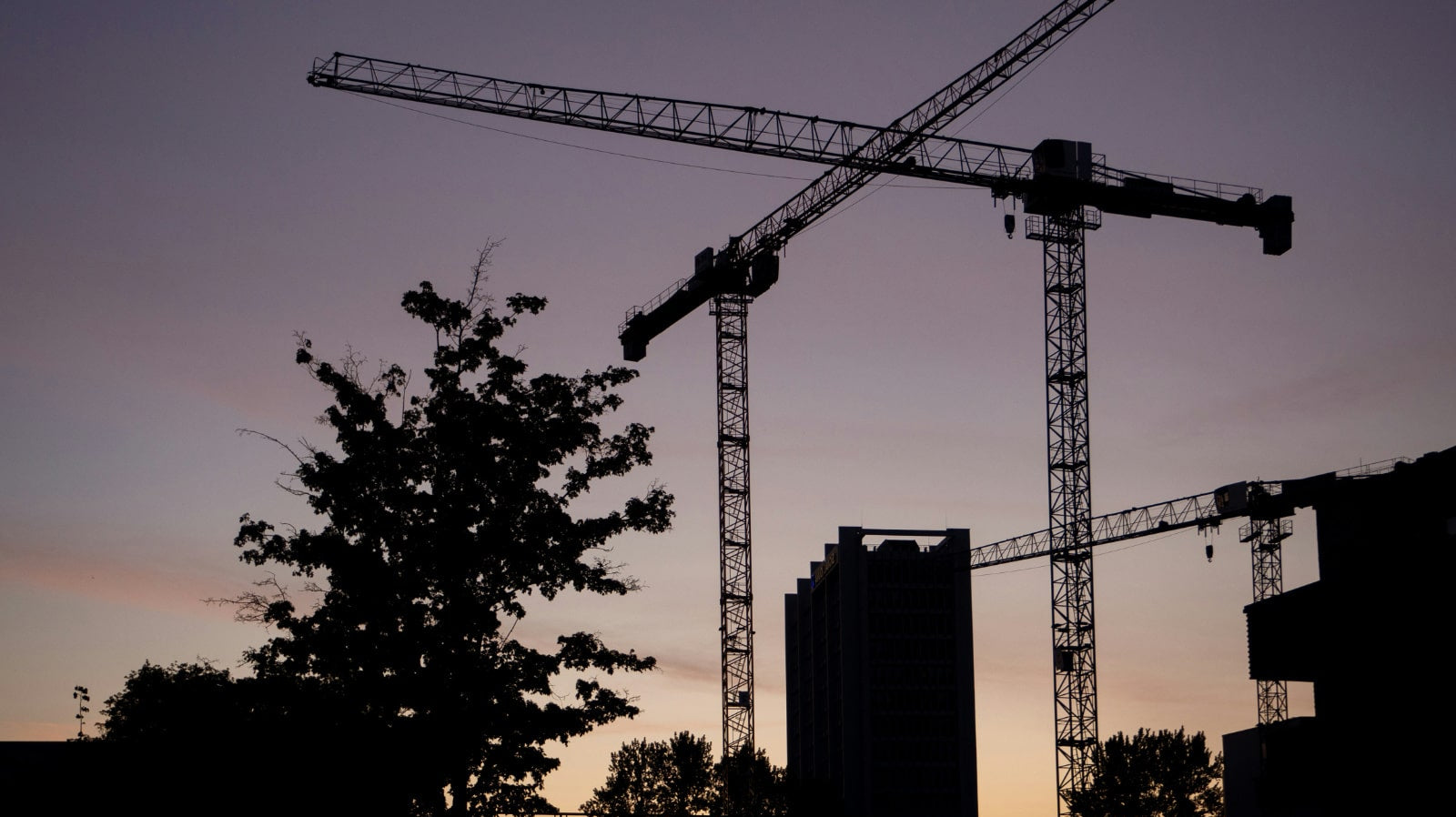 Why Joining the Telos Trade Program Gives Builders a Competitive Edge