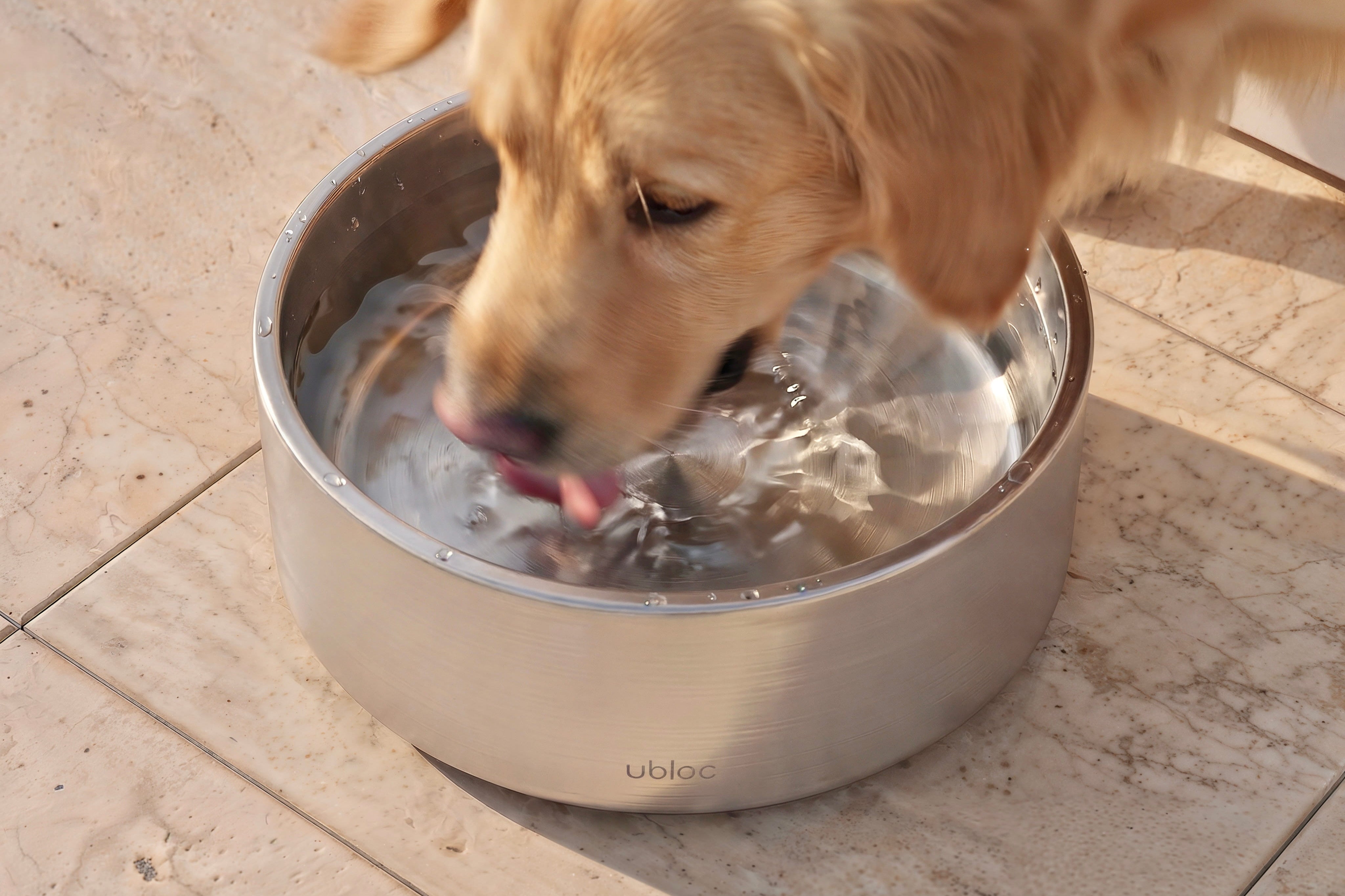 Optional Shelter Bowl.