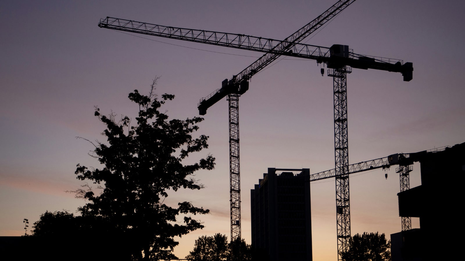 Why Joining the Telos Trade Program Gives Builders a Competitive Edge