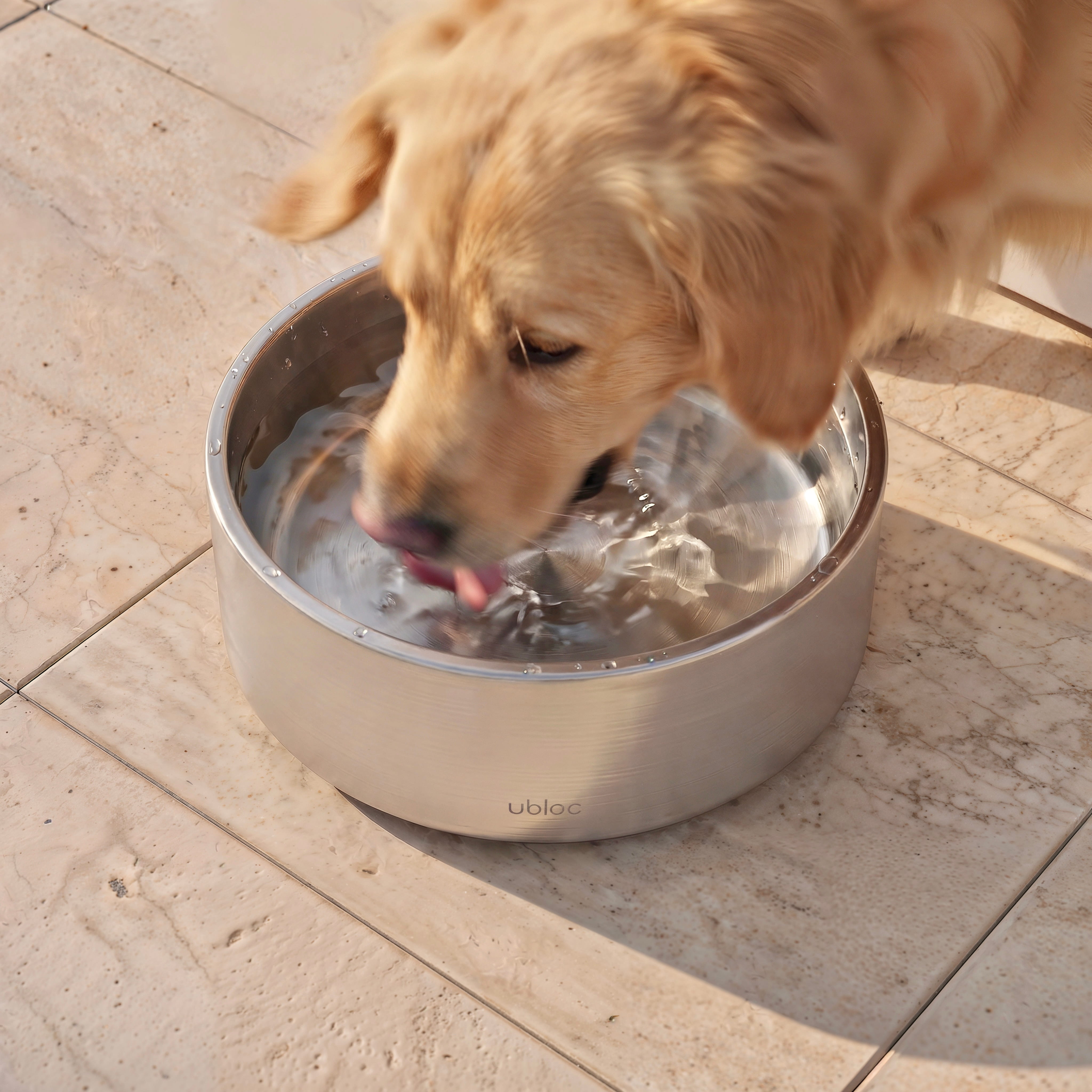 Optional Shelter Bowl.