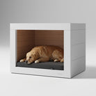 Shelter in White.